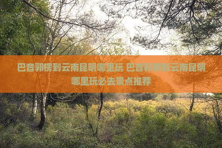 巴音郭楞到云南昆明哪里玩
