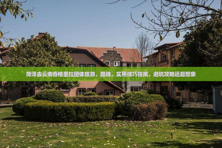 菏泽去云南香格里拉团体旅游