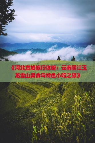 《河北宣城旅行攻略：云南丽江玉龙雪山美食与特色小吃之旅》
