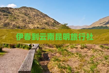 伊春到云南昆明旅行社