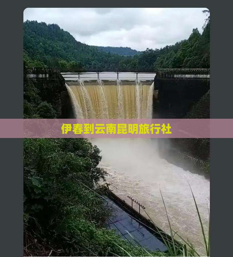 伊春到云南昆明旅行社