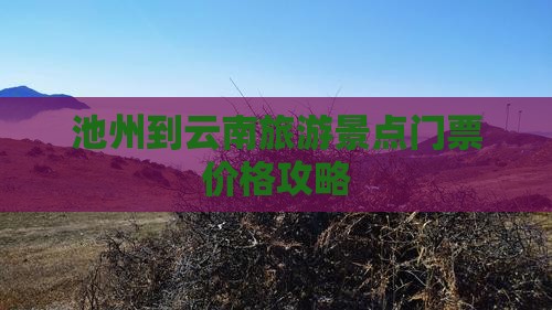 池州到云南旅游景点门票价格攻略