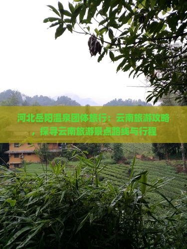 河北岳阳温泉团体旅行：云南旅游攻略，探寻云南旅游景点路线与行程