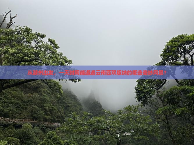 湖州去云南西双版纳一日