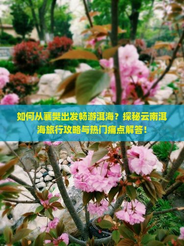 襄樊去云南洱海攻略