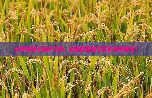 伊犁去云南泸沽湖必去地