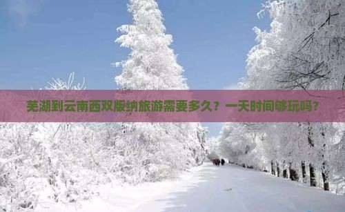 芜湖到云南西双版纳一日