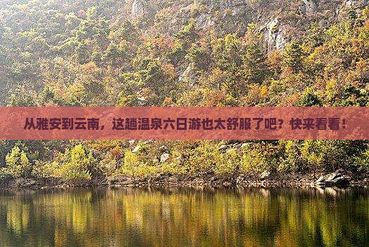 雅安到云南温泉六日游