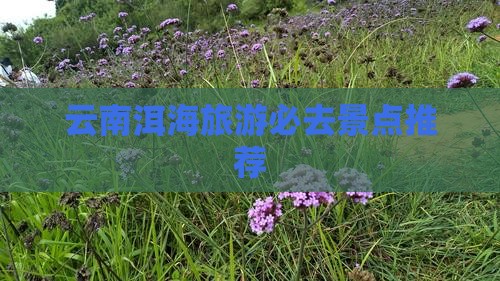 十月去云南洱海必去地
