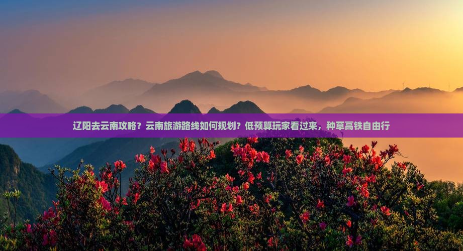 辽阳去云南攻略