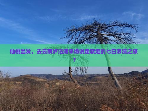 仙桃去云南泸沽湖七日游