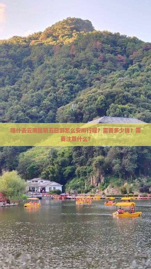 喀什去云南昆明五日游