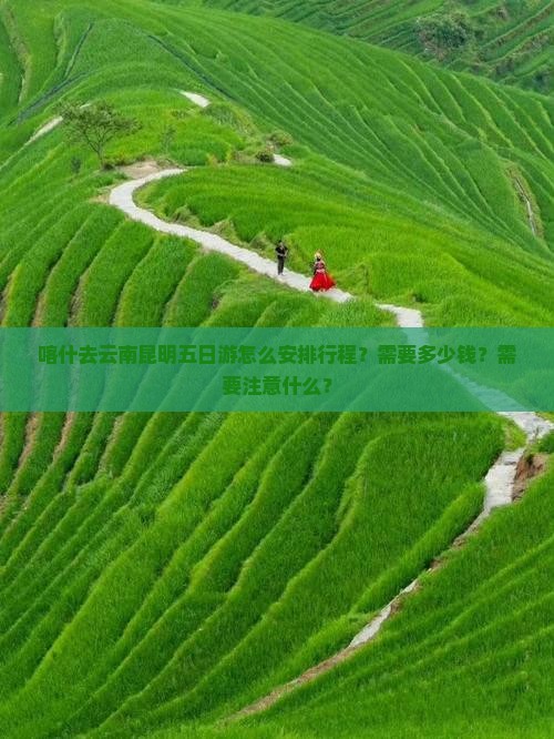 喀什去云南昆明五日游