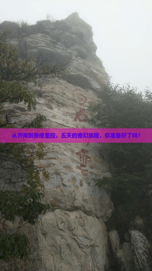 济南到云南香格里拉五日游
