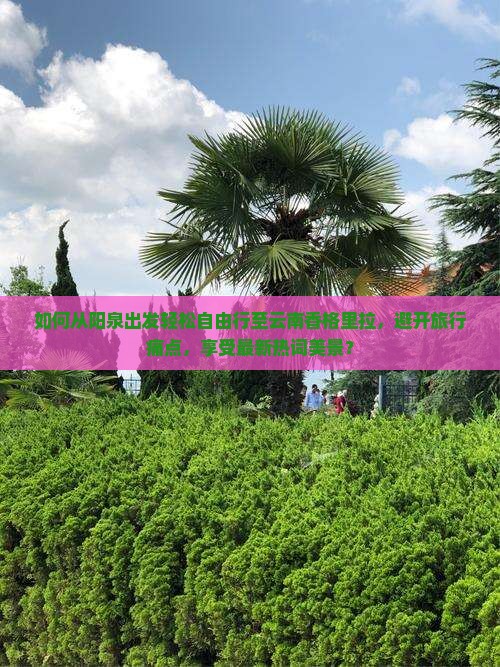 阳泉去云南香格里拉自由行