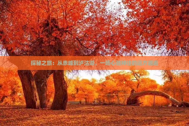 赤峰去云南泸沽湖攻略