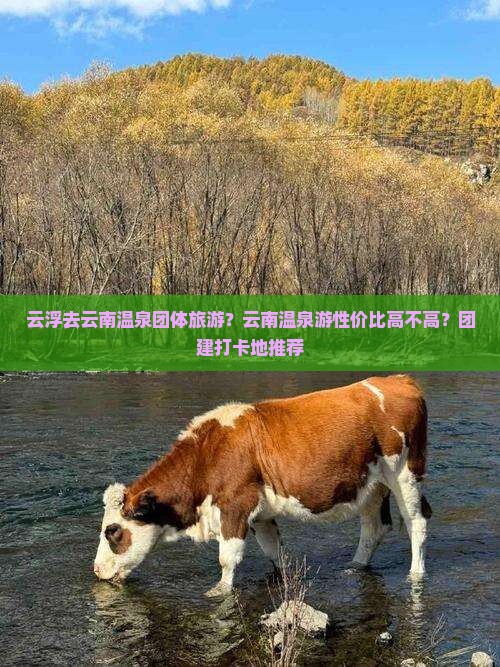 云浮去云南温泉团体旅游