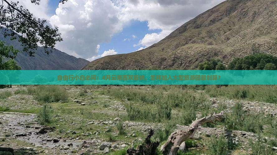 四月到云南西双版纳大型旅游团