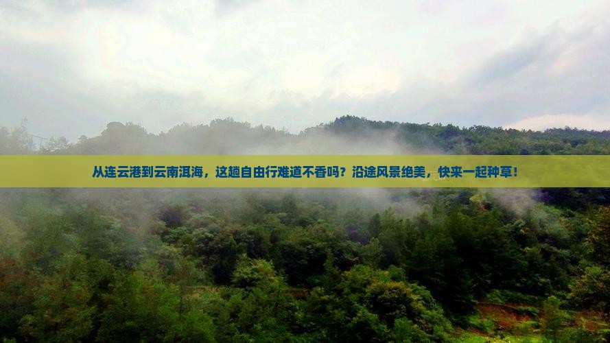 连云港到云南洱海自由行