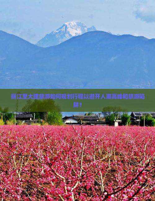 丽江到云南大理旅游