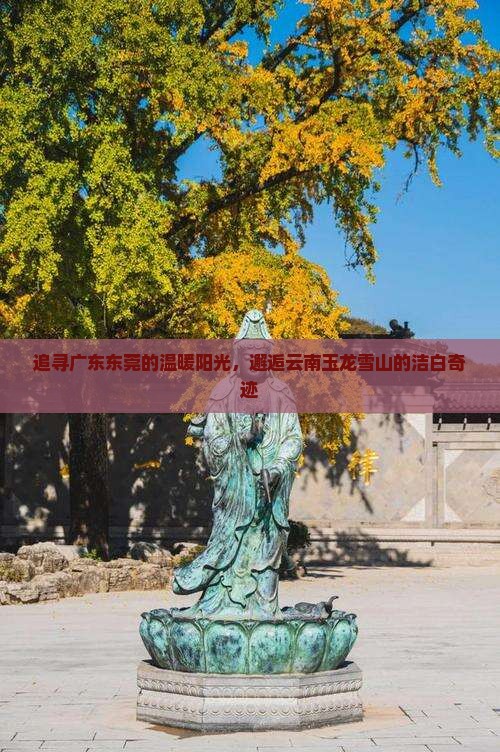 东莞到云南玉龙雪山景点
