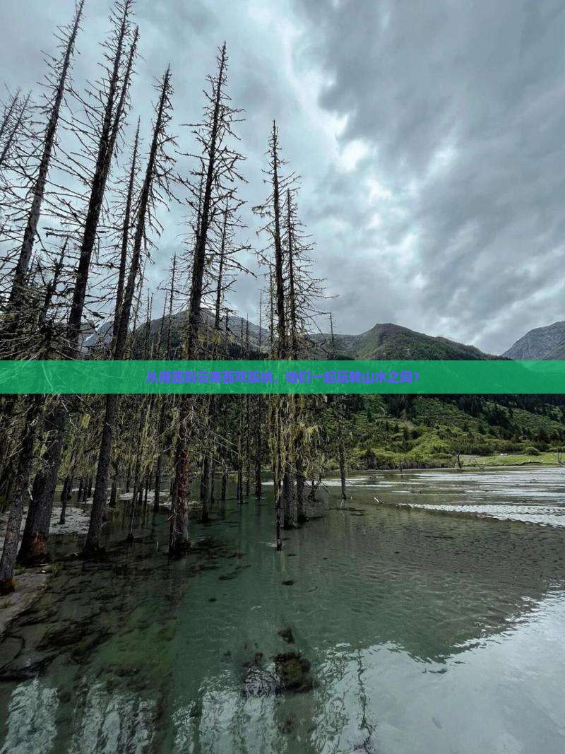 湘西到云南西双版纳团体旅游