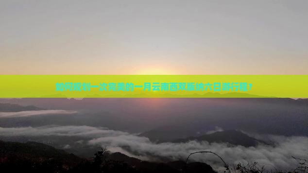 一月到云南西双版纳六日游