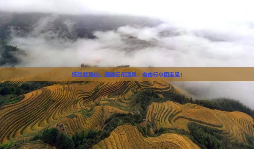 武夷山去云南温泉自由团