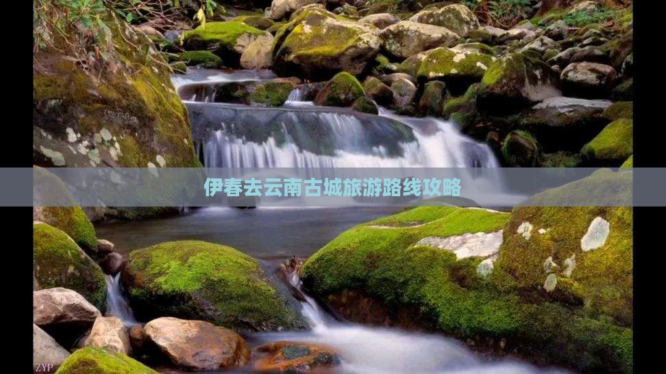 伊春去云南古城旅游