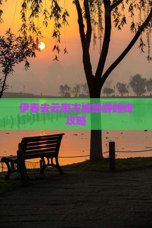 伊春去云南古城旅游