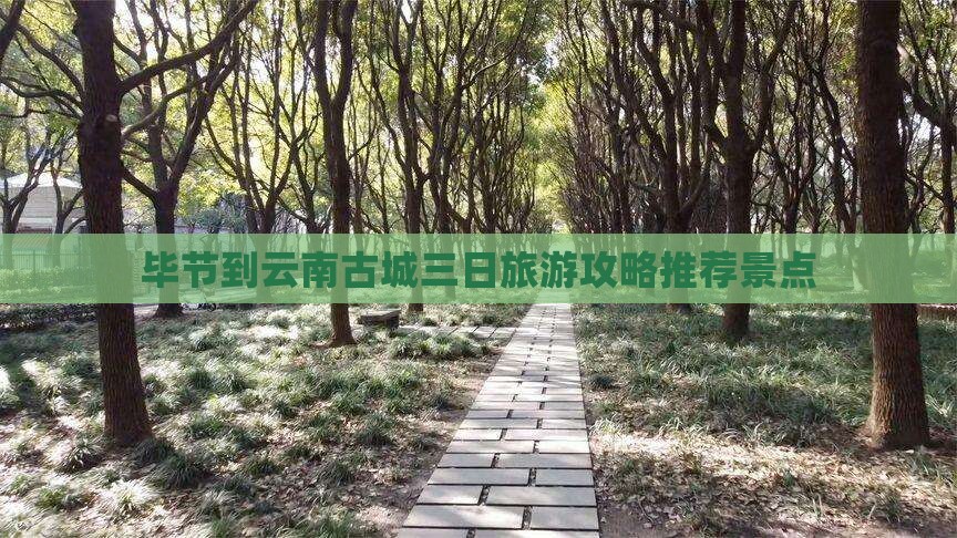 毕节到云南古城三日游