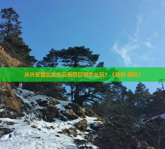 兴安盟去云南四日游