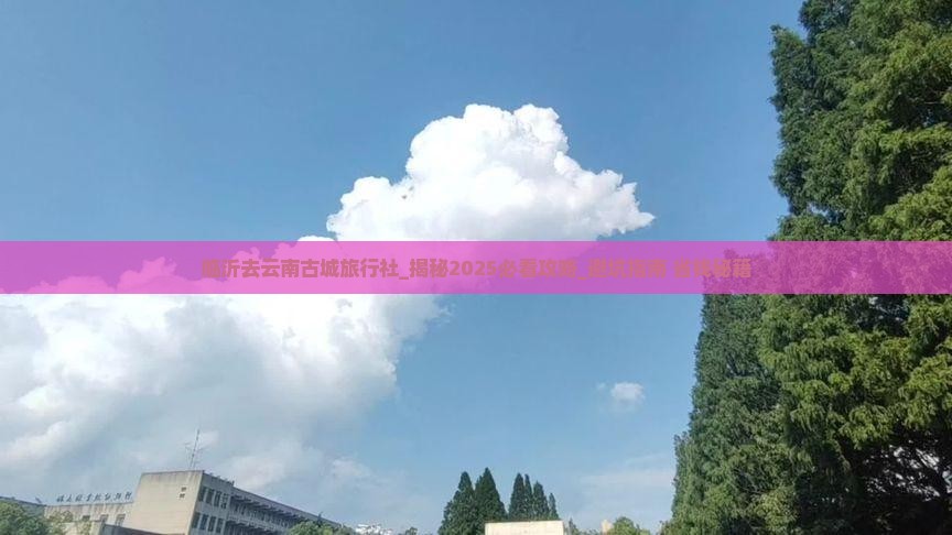 临沂去云南古城旅行社