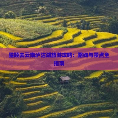 醴陵去云南泸沽湖哪里玩