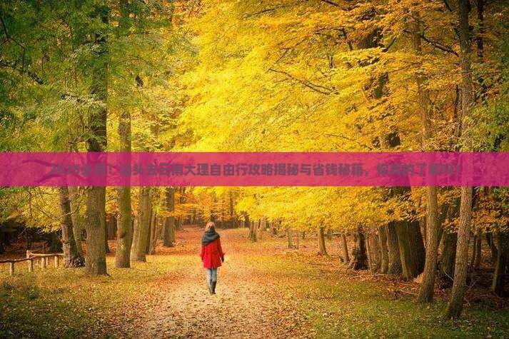 汕头去云南大理自由行