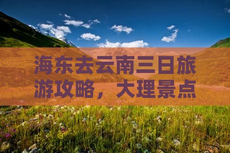 海东去云南三日游