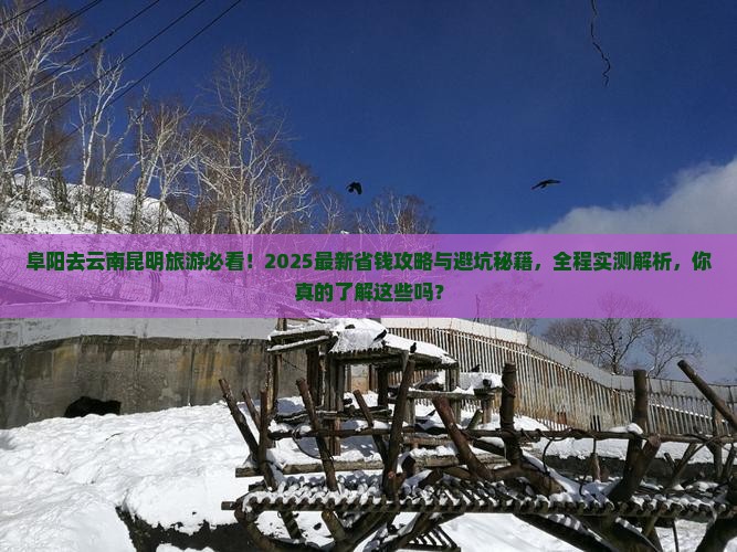 阜阳去云南昆明旅游