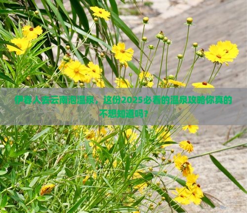 伊春去云南温泉团体旅游