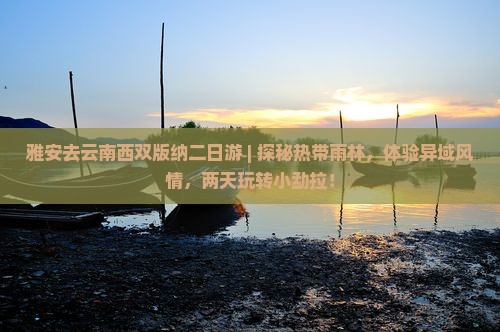 雅安去云南西双版纳二日游