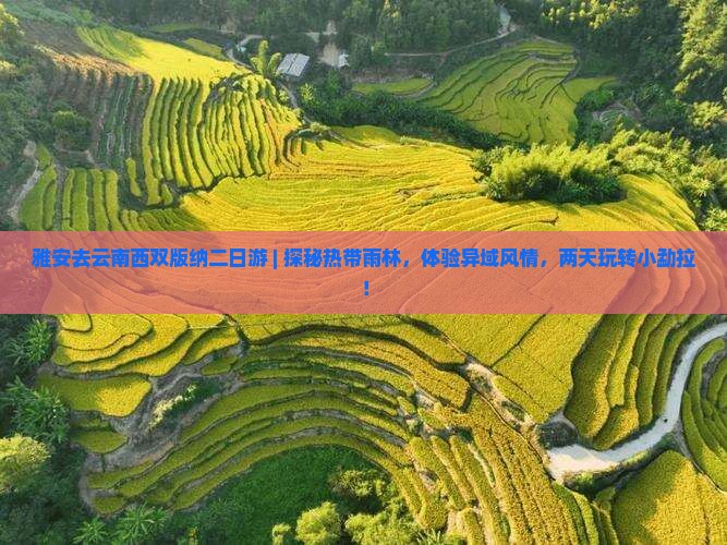 雅安去云南西双版纳二日游