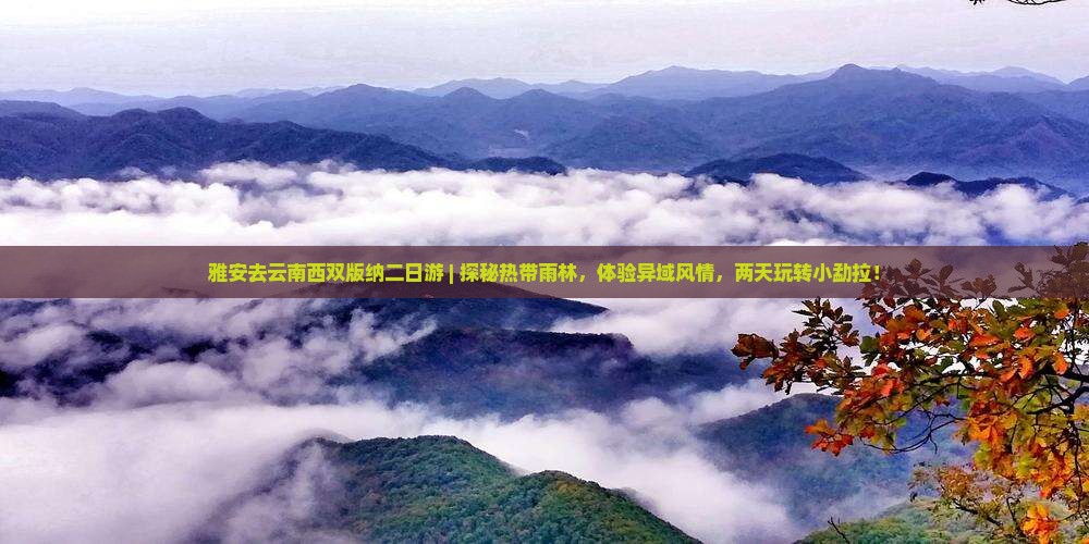 雅安去云南西双版纳二日游