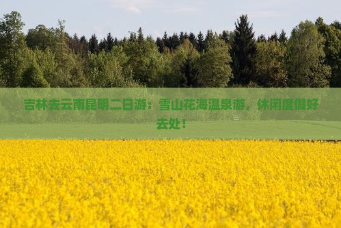 吉林去云南昆明二日游