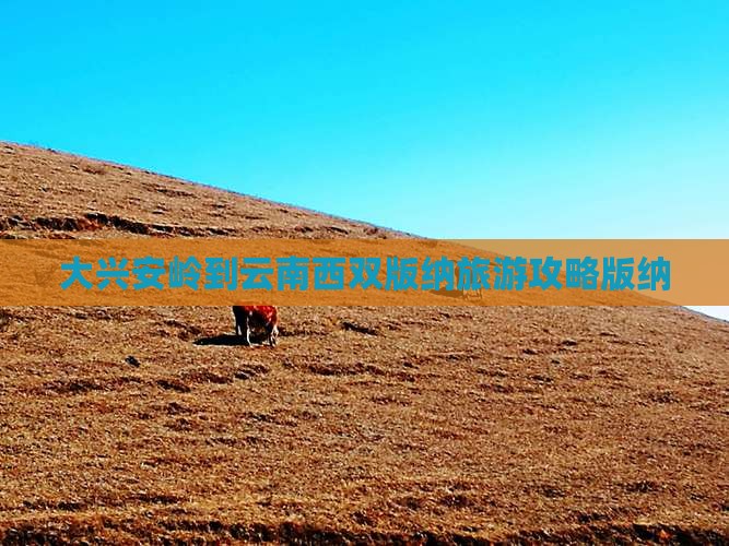 大兴安岭到云南西双版纳门票