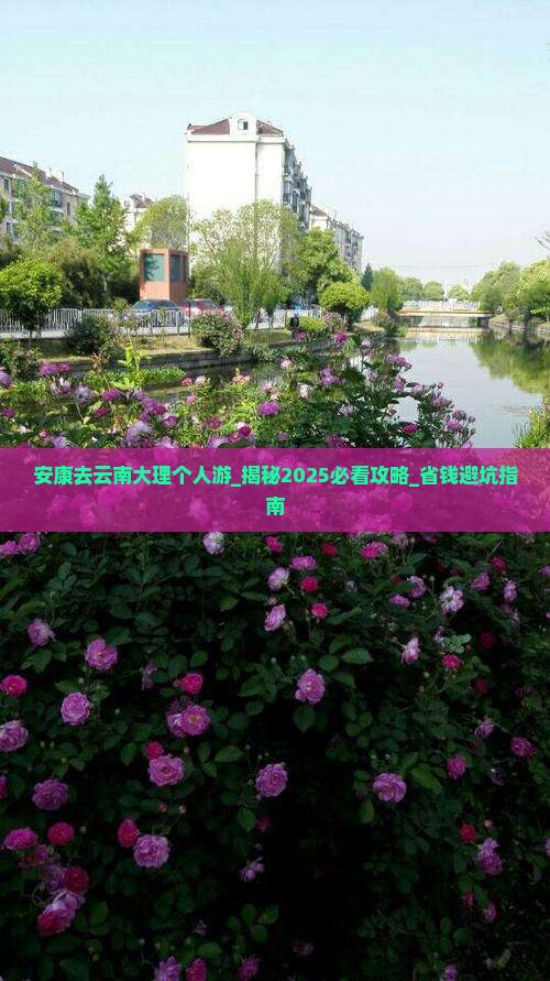 安康去云南大理个人游