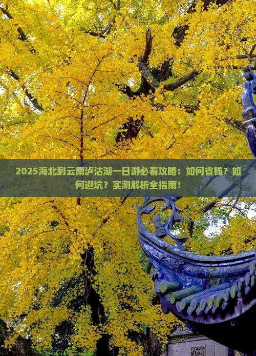 海北到云南泸沽湖一日