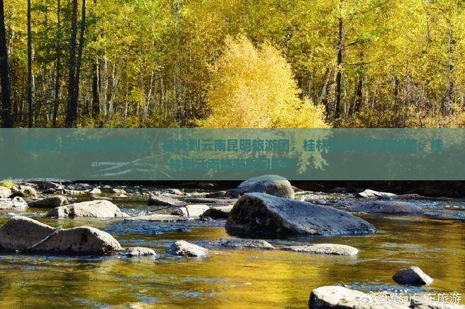 桂林到云南昆明旅行社