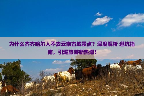 齐齐哈尔到云南古城景点 齐齐哈尔到云南古城景点