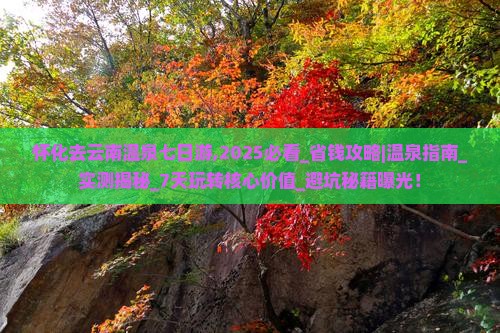 怀化去云南温泉七日游