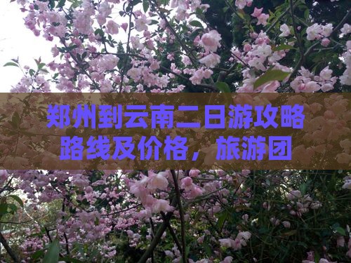 郑州到云南二日游
