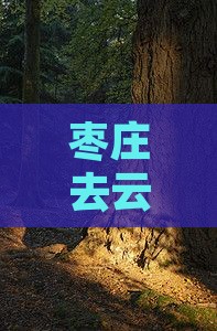 枣庄去云南大理自由团